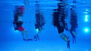 Maak kennis met duiken tijdens een introductieduik bij Het Duikhuis. Ontdek de onderwaterwereld onder begeleiding van ervaren instructeurs.