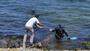 Ontsnap aan de drukte van de stad en ontdek het serene onderwaterleven van Amsterdam. Een unieke duikervaring in hartje Nederland.